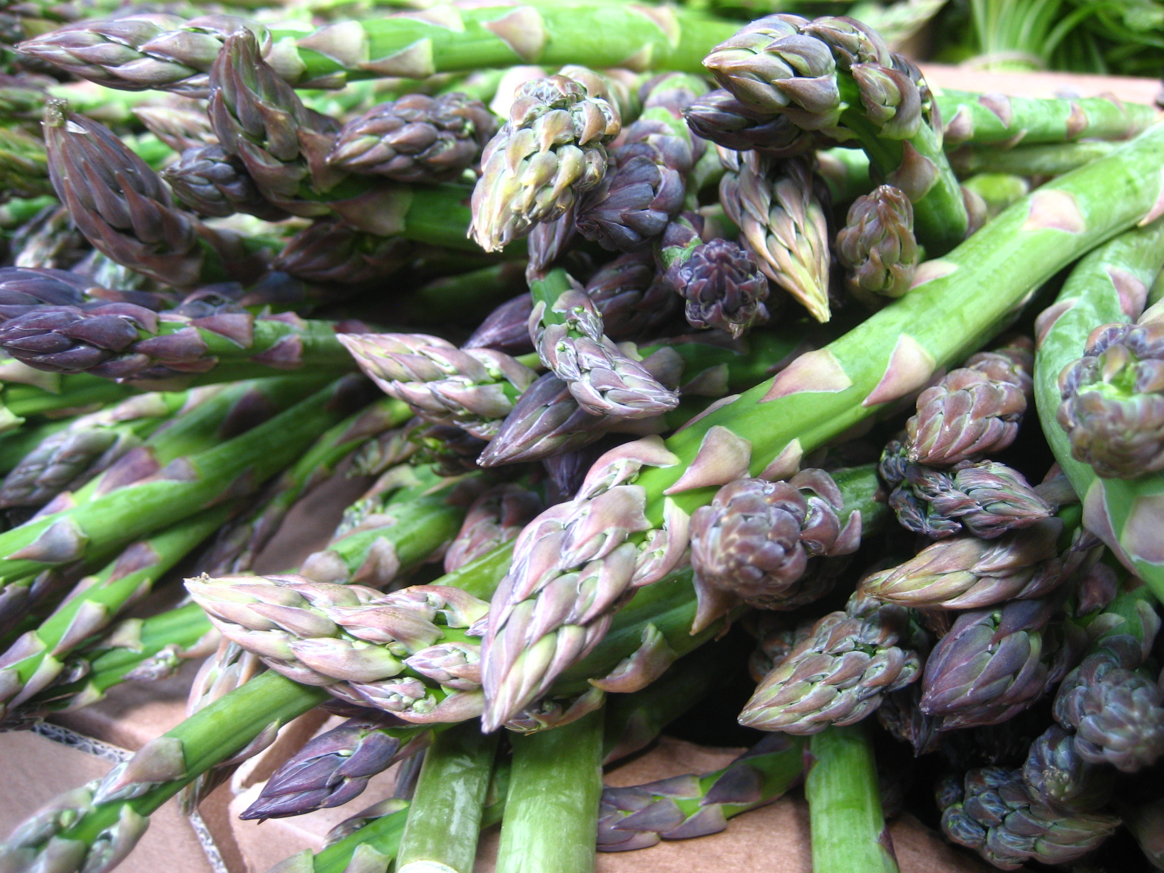 Asperge